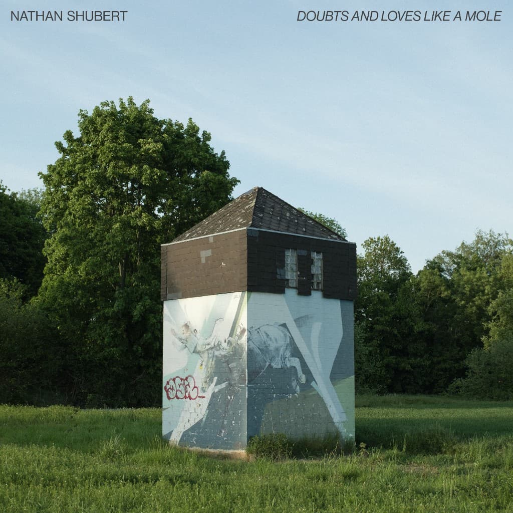 Cover art for Doubts and loves like a mole