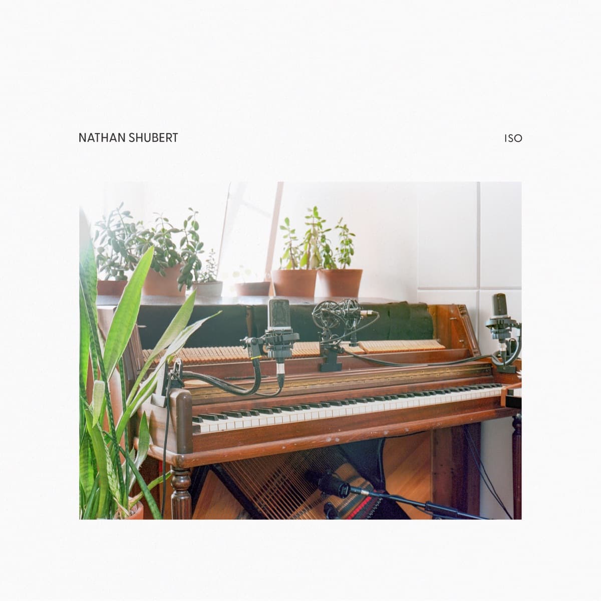 Cover art for Iso